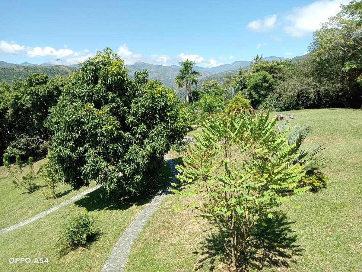 Guest house Palermo